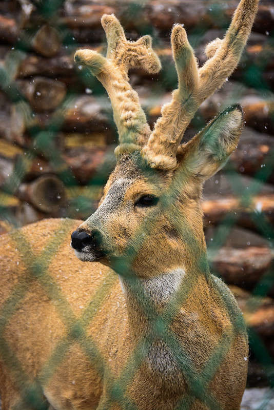 � ����� � ����������� �����! ����� ������ ������ �� PhotoGeek.ru #�������� ���