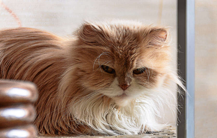 ����� ����� ������ ������ �� PhotoGeek.ru #�������� ���