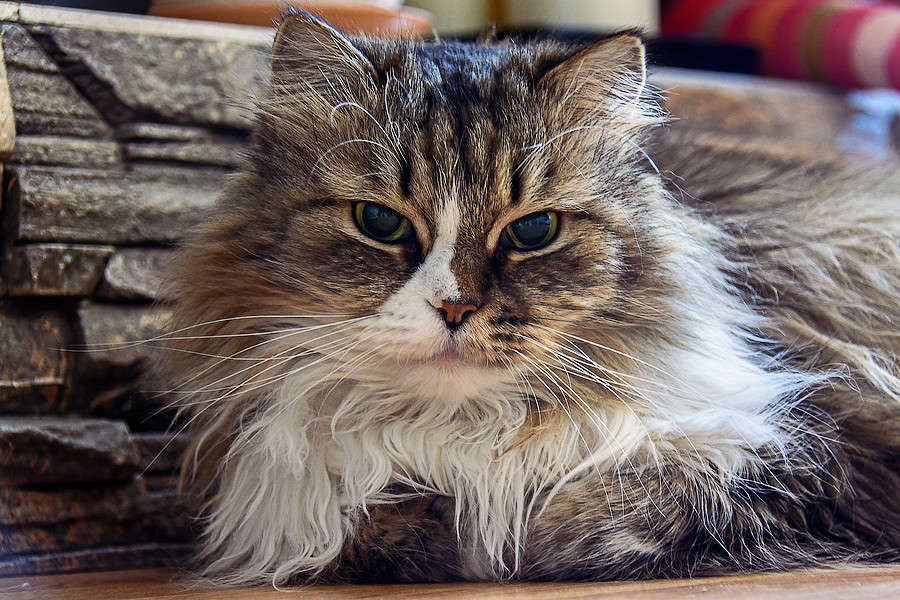 ���� ����� ������ ������ �� PhotoGeek.ru #�������� ���