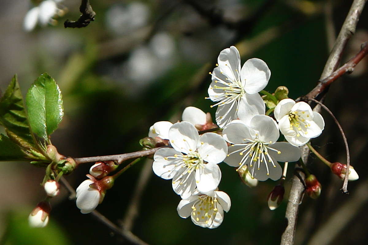 ... ����� �������  �� PhotoGeek.ru #������ ��� �������