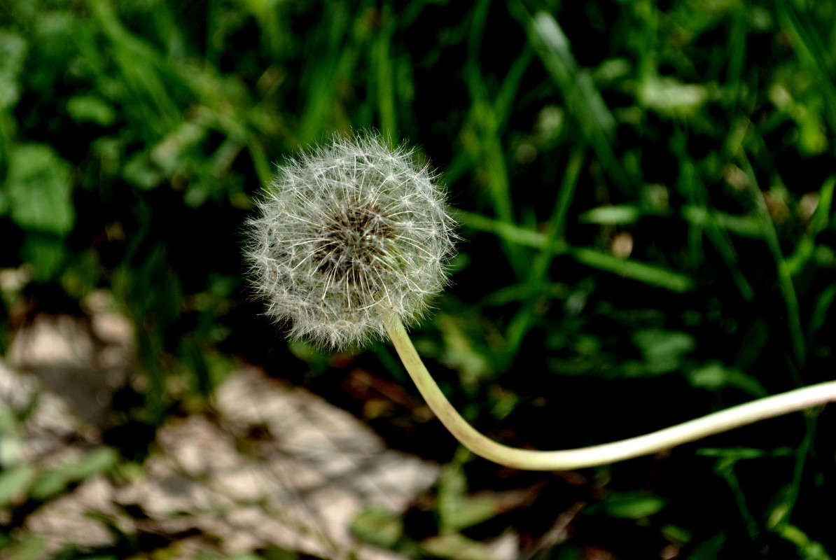 �����,�� ������� ��������!))) ����� ����� ���������(�������) �� PhotoGeek.ru #�����