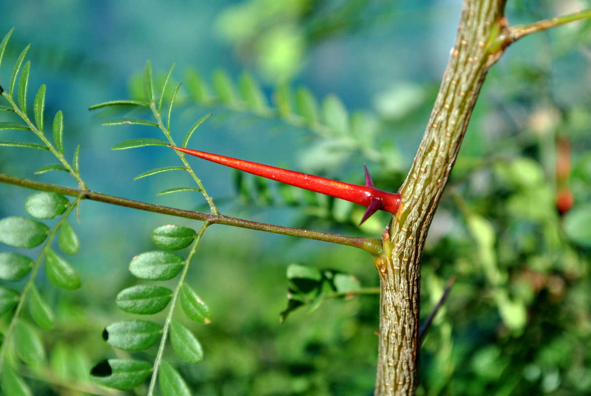 �������.)) ����� ����� ���������(�������) �� PhotoGeek.ru #������ ��� �������