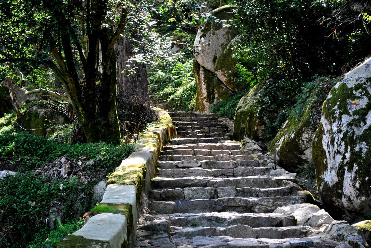 ���������... ����� ����� ���������(�������) �� PhotoGeek.ru #������ ��� �������