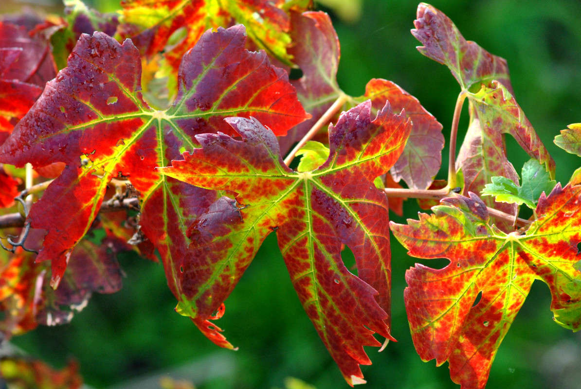 ������ �����. ����� ����� ���������(�������) �� PhotoGeek.ru #������ ��� �������