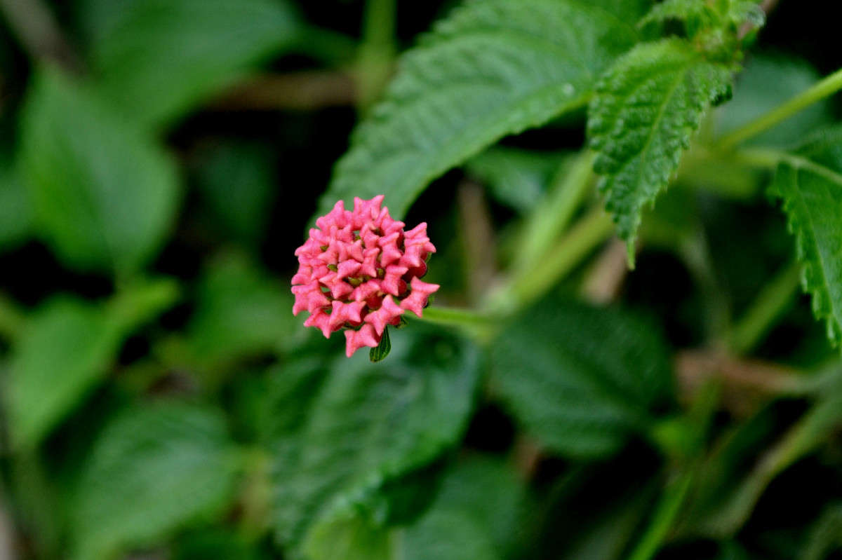 ������ ����� ����� ����� ���������(�������) �� PhotoGeek.ru #������ ��� ������� #����� ��������������