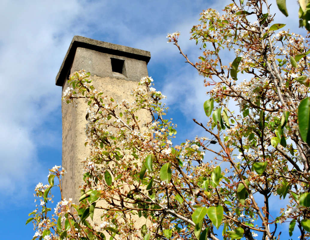 ����� � ����������.3 ������ 2013 ����� ����� ���������(�������) �� PhotoGeek.ru #������ ��� �������