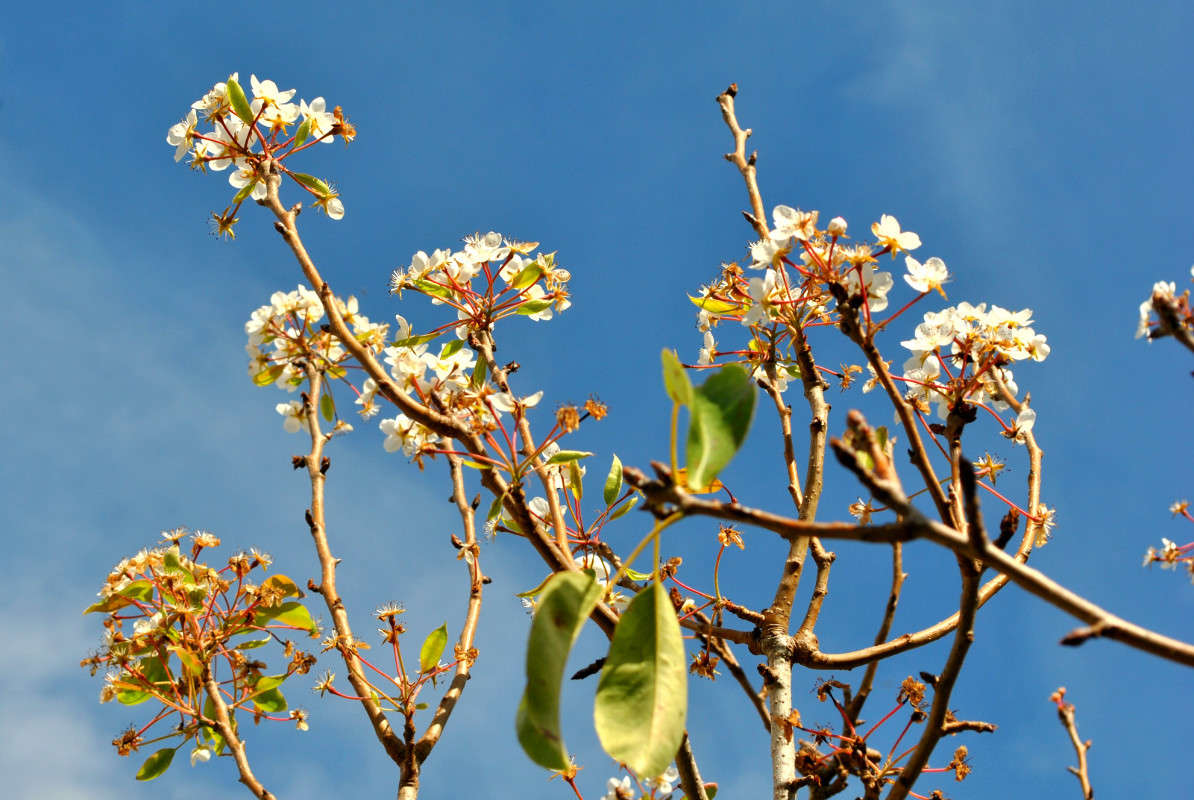 �������� ����.)) ����� ����� ���������(�������) �� PhotoGeek.ru #������ ��� �������