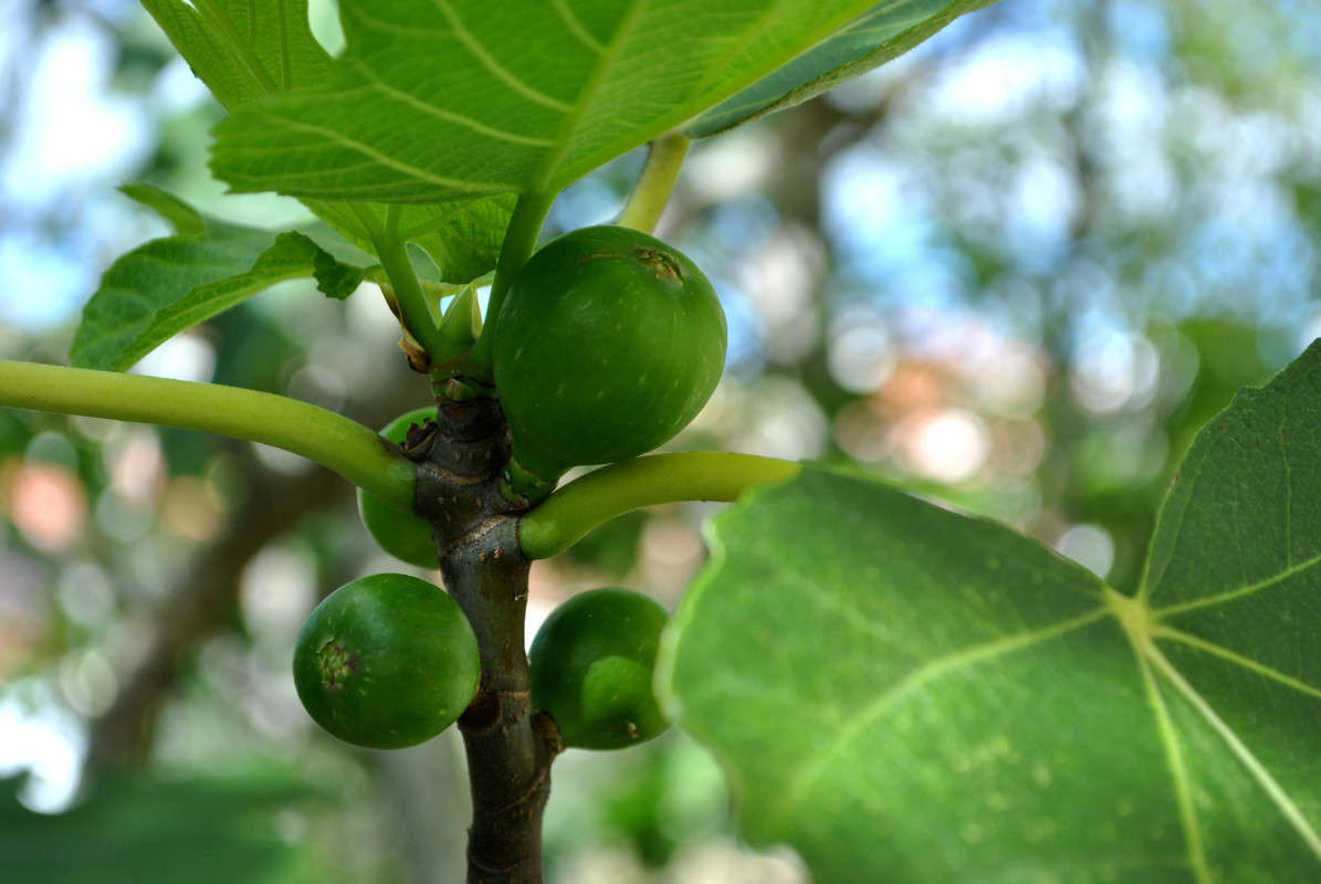 �����. ����� ����� ���������(�������) �� PhotoGeek.ru #������ ��� �������