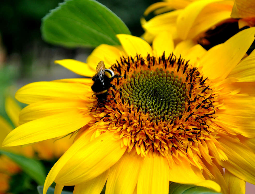 �����������))) ����� ����� ���������(�������) �� PhotoGeek.ru #������ ��� �������