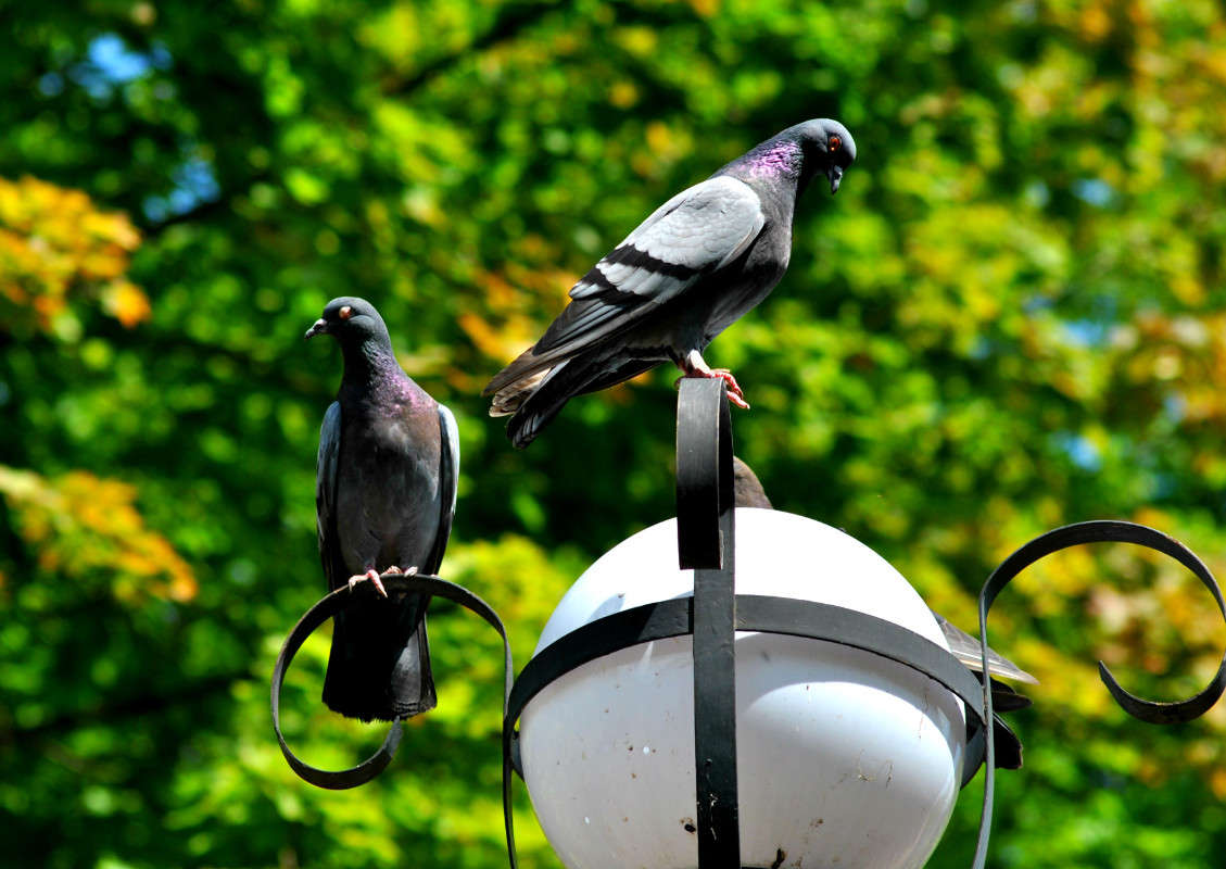 �����. ����� ����� ���������(�������) �� PhotoGeek.ru #�������� ���