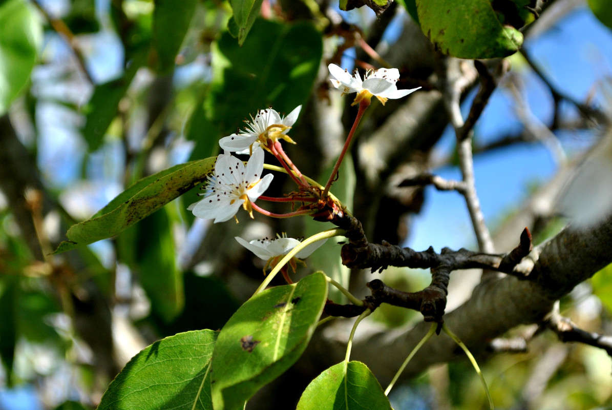 �������� ����... ����� ����� ���������(�������) �� PhotoGeek.ru #������ ��� �������