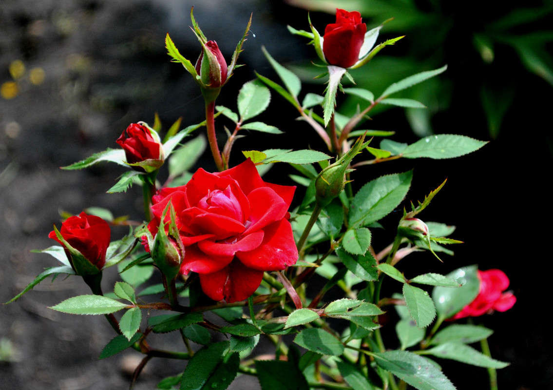 ����. ����� ����� ���������(�������) �� PhotoGeek.ru #������ ��� �������