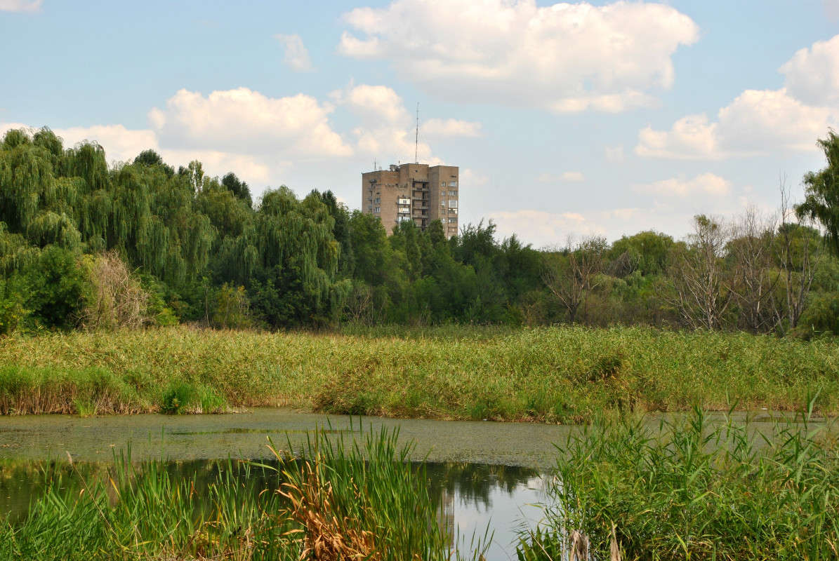 � �����-��,����� ���� �����...(( ����� ����� ���������(�������) �� PhotoGeek.ru #����� #������ ��� ������� #�������� ����������