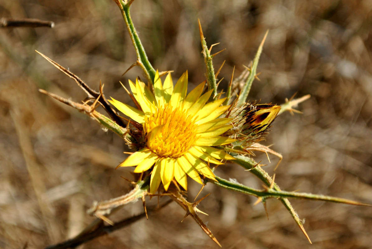 ������� ������. ����� ����� ���������(�������) �� PhotoGeek.ru #������ ��� �������