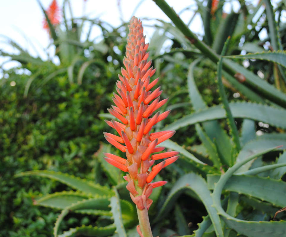 ������ ���� ����� ����� ���������(�������) �� PhotoGeek.ru #������ ��� �������