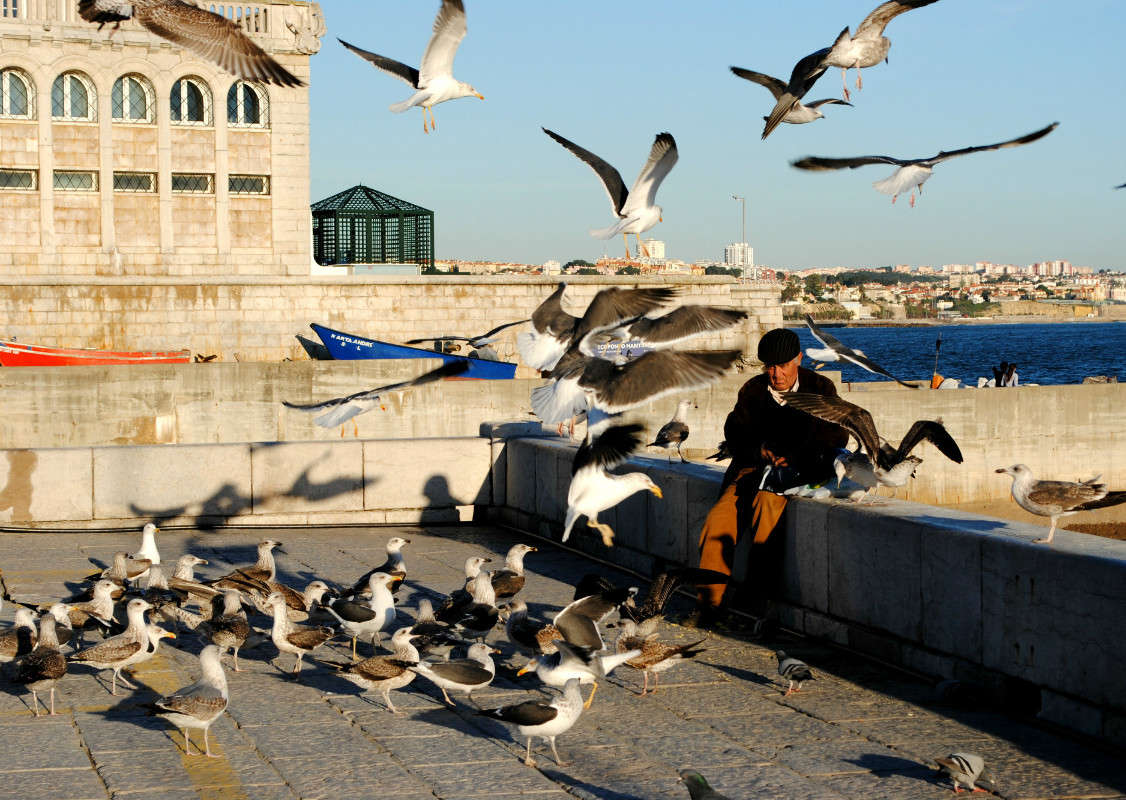 ������ � �����... ����� ����� ���������(�������) �� PhotoGeek.ru #����� #������ ��� ������� #�������� ���������� #��������