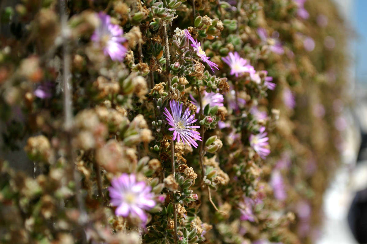 �����. ����� ����� ���������(�������) �� PhotoGeek.ru #������ ��� ������� #����� ��������������