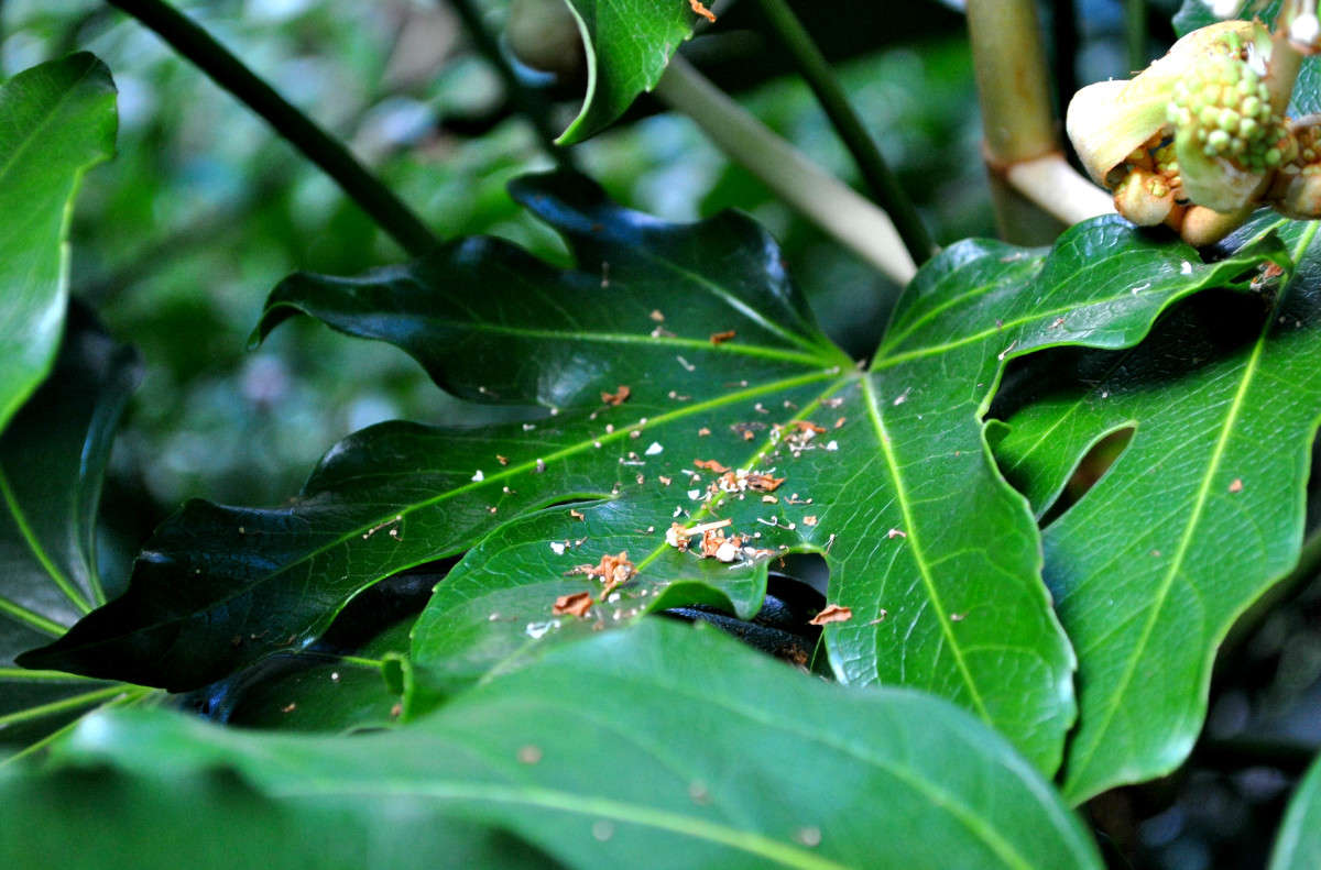 ������. ����� ����� ���������(�������) �� PhotoGeek.ru #������ ��� ������� #����� ��������������