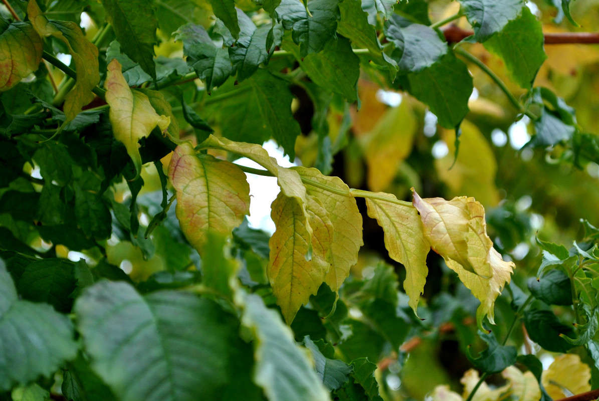 ������� �����... ����� ����� ���������(�������) �� PhotoGeek.ru #������ ��� ������� #����� ��������������