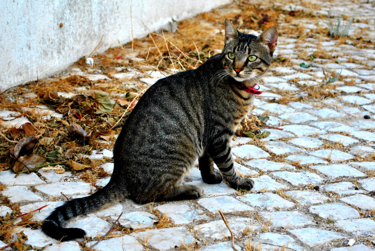 ���,������� ����� ��� �� ����!)) ����� ����� ���������(�������) �� PhotoGeek.ru #�������� ���