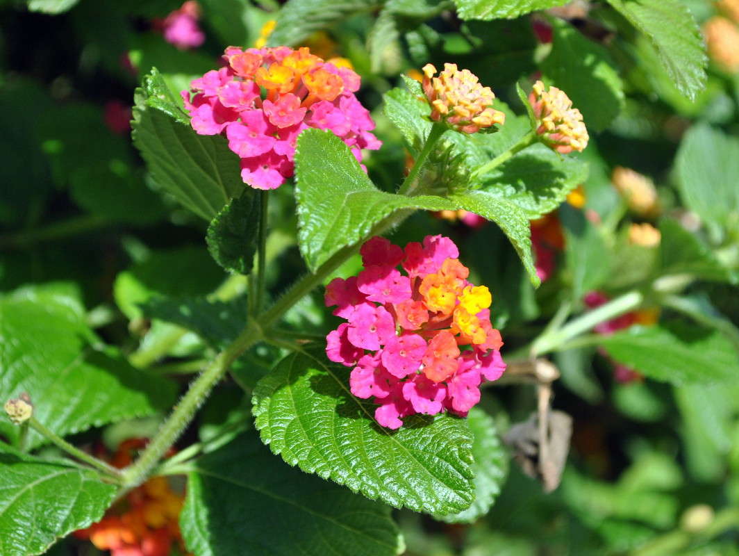 ������� ������. ����� ����� ���������(�������) �� PhotoGeek.ru #������ ��� ������� #����� ��������������