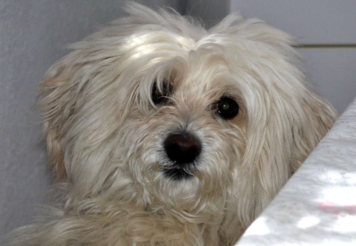 ������!!)) ����� ����� ���������(�������) �� PhotoGeek.ru #�������� ���