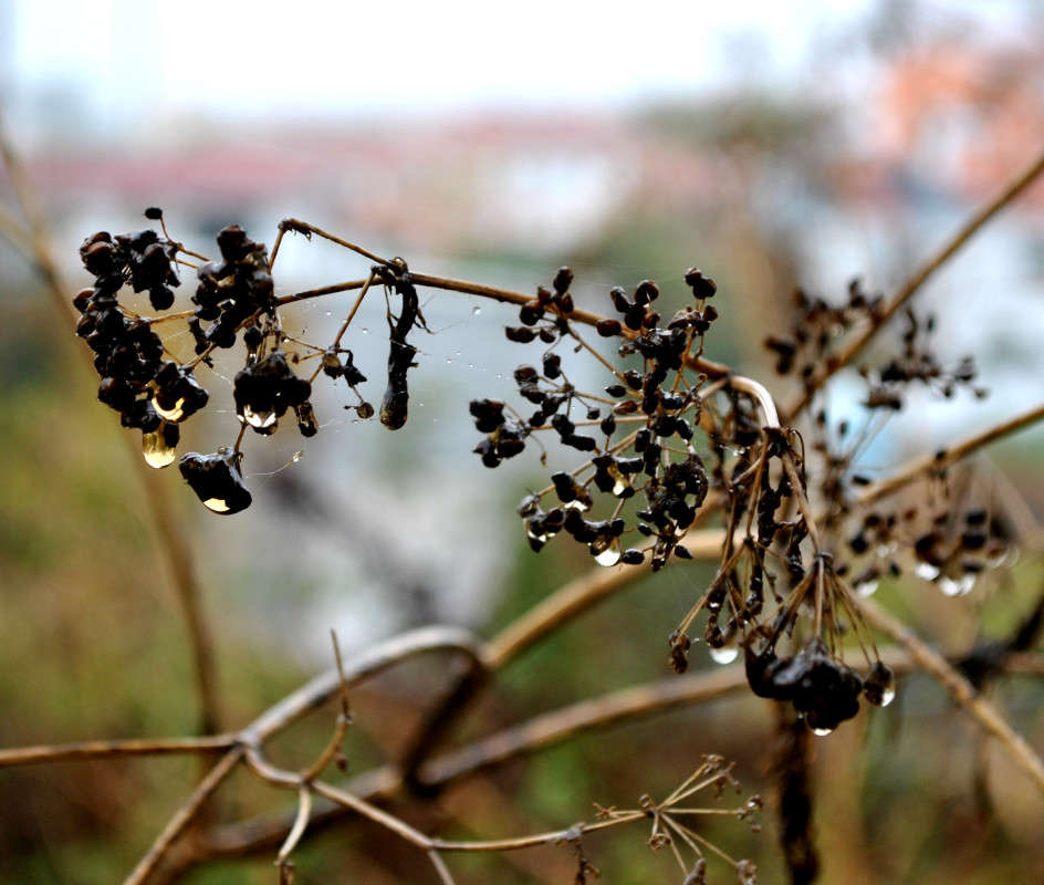 �����... ����� ����� ���������(�������) �� PhotoGeek.ru #������ ��� ������� #����� �������������� #������