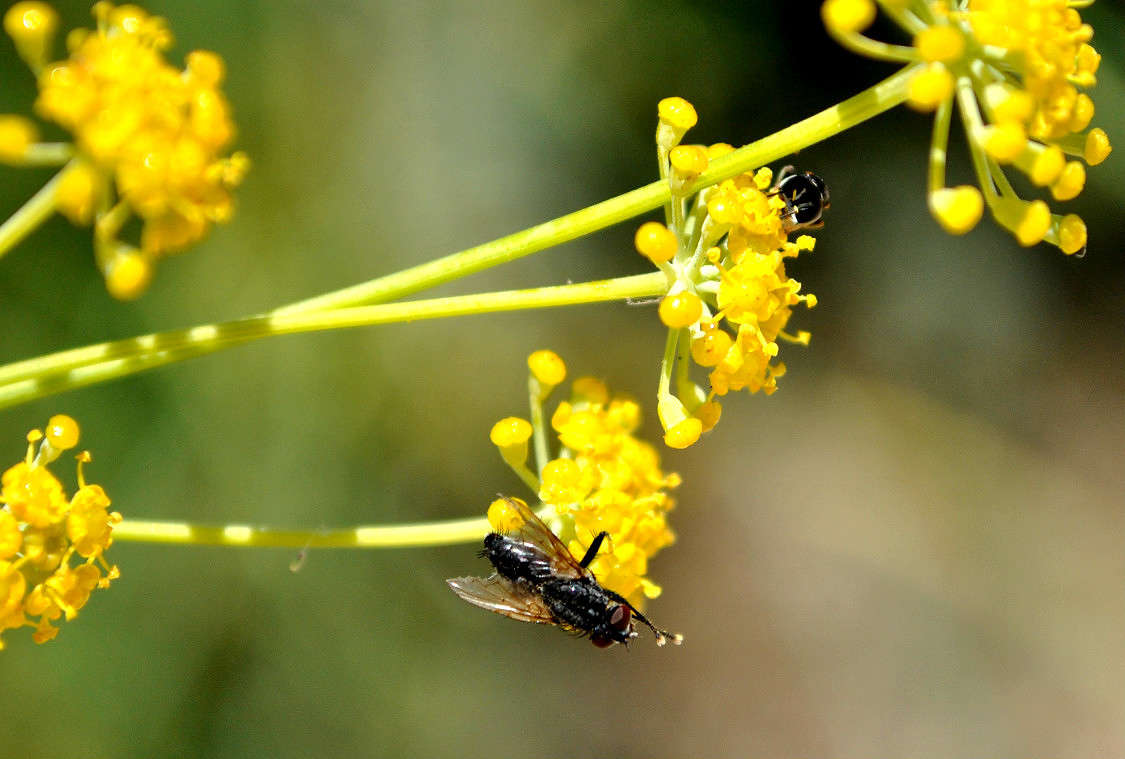 �����.)) ����� ����� ���������(�������) �� PhotoGeek.ru #����� #����� �������������� #���������