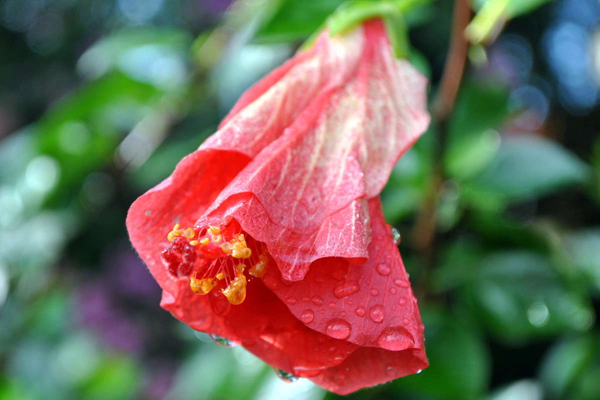 ����� �����... ����� ����� ���������(�������) �� PhotoGeek.ru #������ ��� ������� #����� ��������������