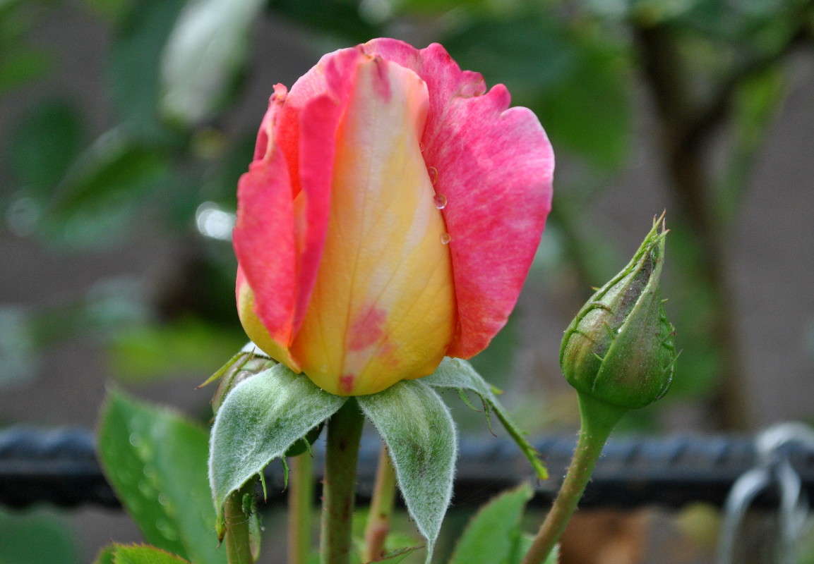 ��������� ���������)) ����� ����� ���������(�������) �� PhotoGeek.ru #������ ��� ������� #����� ��������������