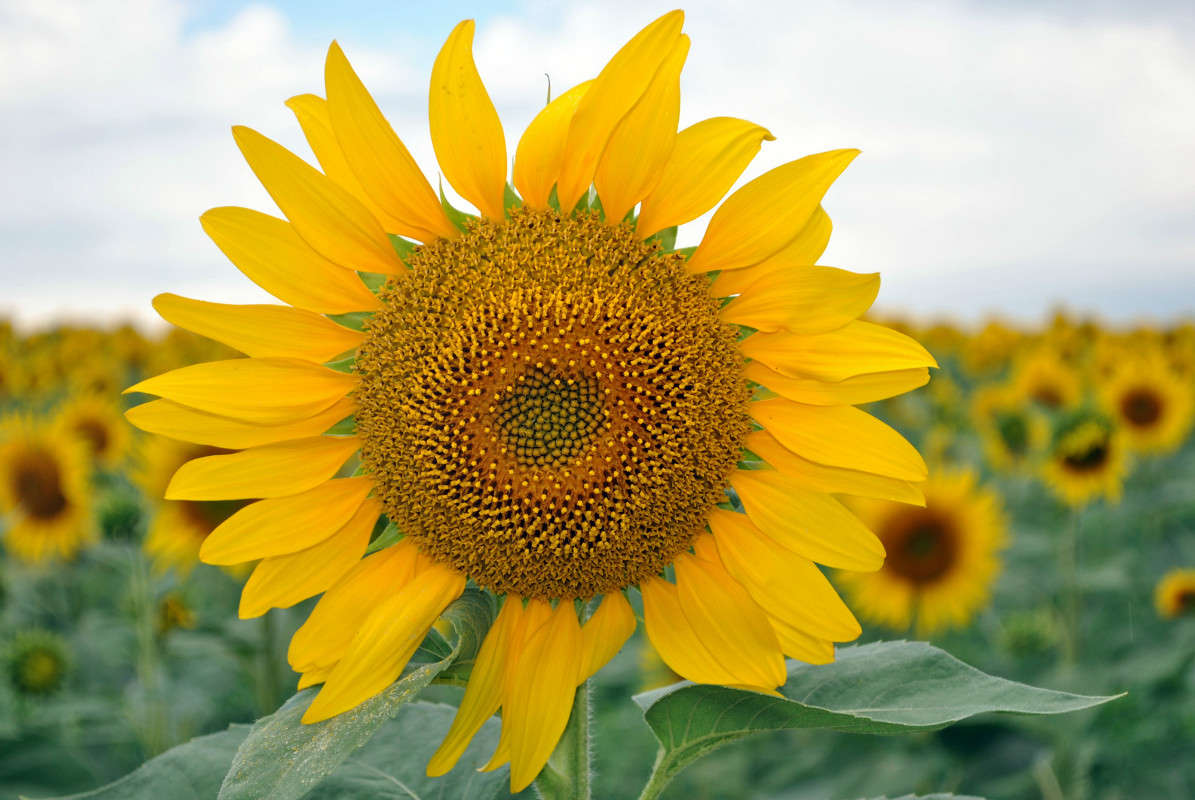 ��������!!))) ����� ����� ���������(�������) �� PhotoGeek.ru #������ ��� ������� #����� �������������� #������