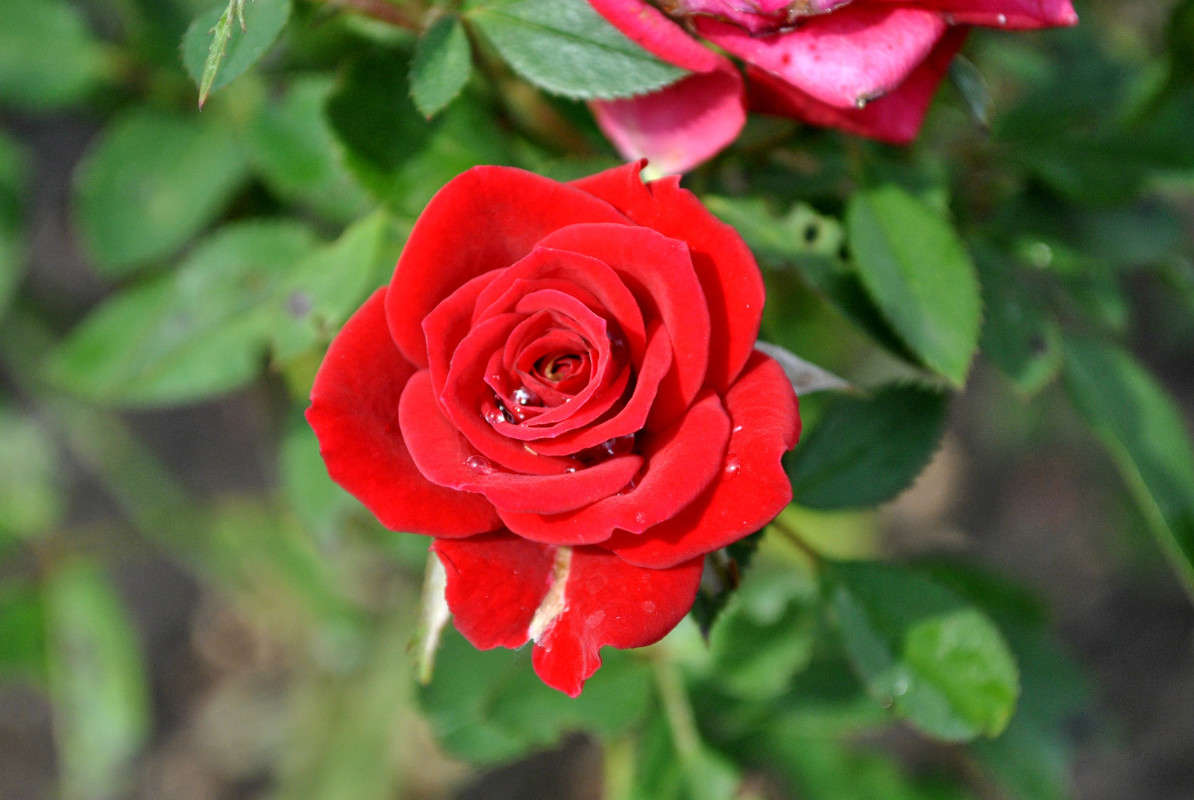 ����. ����� ����� ���������(�������) �� PhotoGeek.ru #������ ��� ������� #����� ��������������