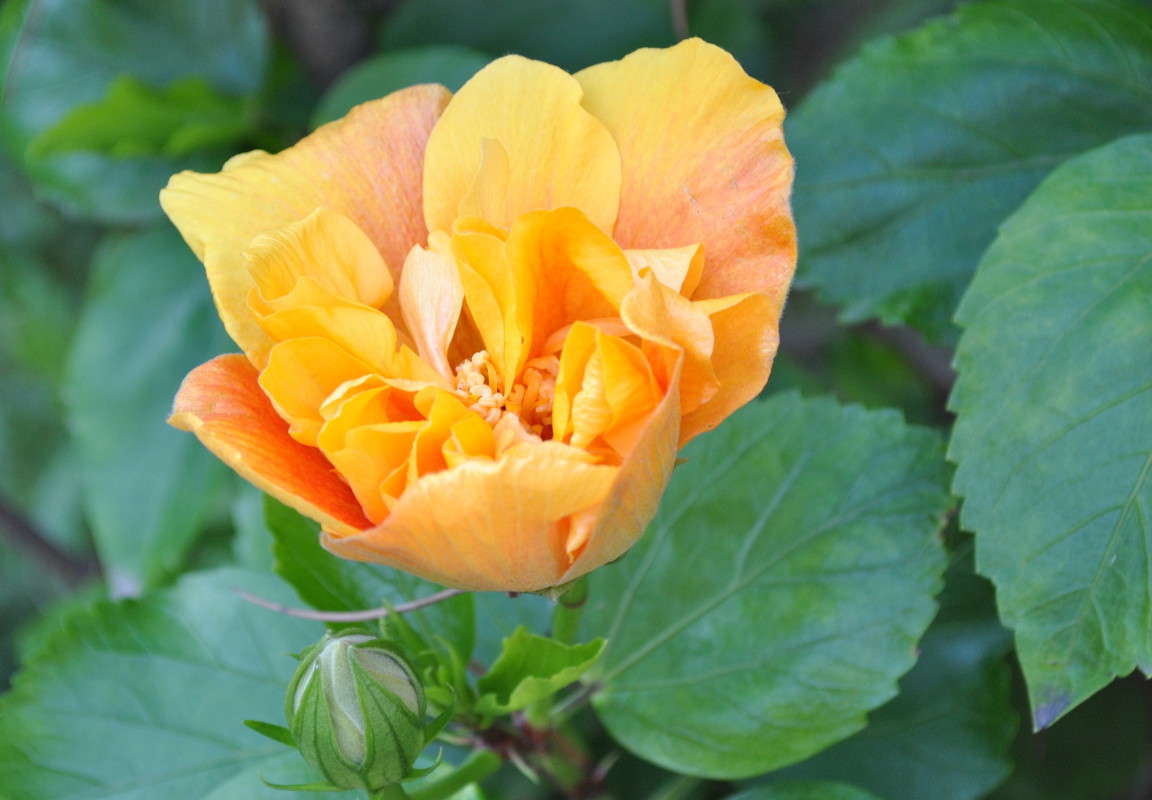 ... ����� ����� ���������(�������) �� PhotoGeek.ru #������ ��� ������� #����� ��������������