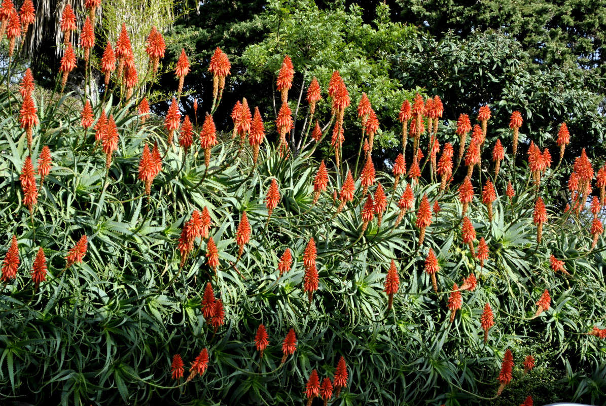 ����.. ����� ����� ���������(�������) �� PhotoGeek.ru #������ ��� ������� #����� ��������������