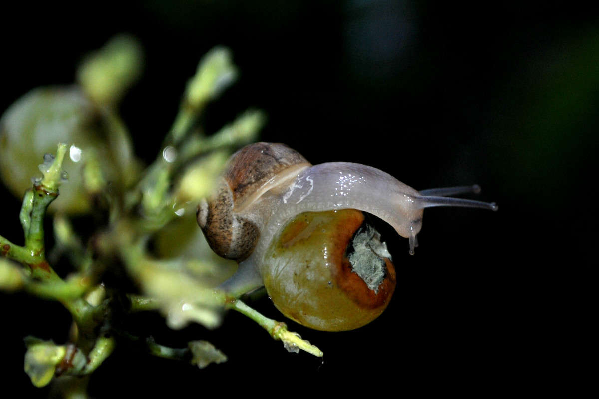 ��������.)) ����� ����� ���������(�������) �� PhotoGeek.ru #�������� ���