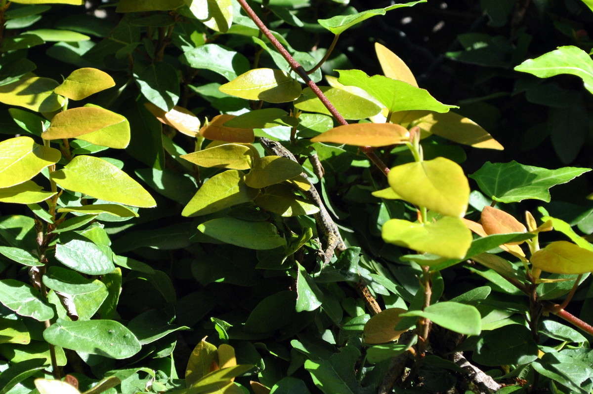 ����� �������!)) ����� ����� ���������(�������) �� PhotoGeek.ru #�������� ���