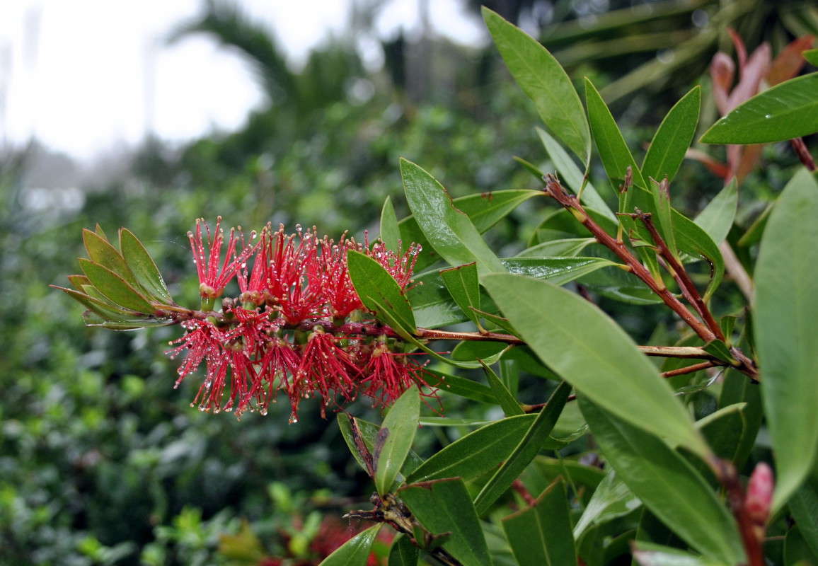 ����� �����. ����� ����� ���������(�������) �� PhotoGeek.ru #������ ��� ������� #����� ��������������