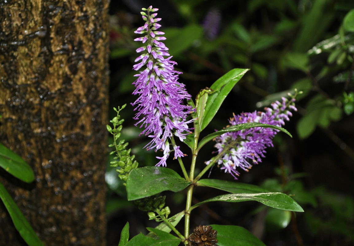 ����� �����.. ����� ����� ���������(�������) �� PhotoGeek.ru #������ ��� ������� #����� ��������������