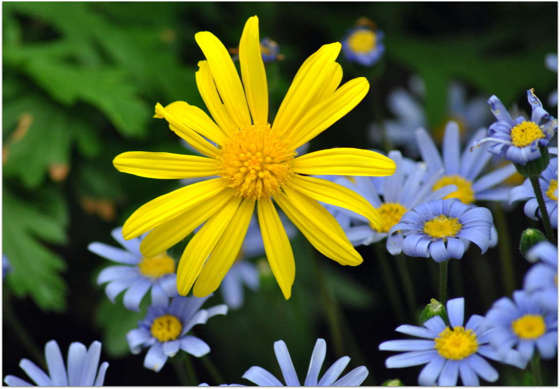 �����. ����� ����� ���������(�������) �� PhotoGeek.ru #������ ��� ������� #����� ��������������