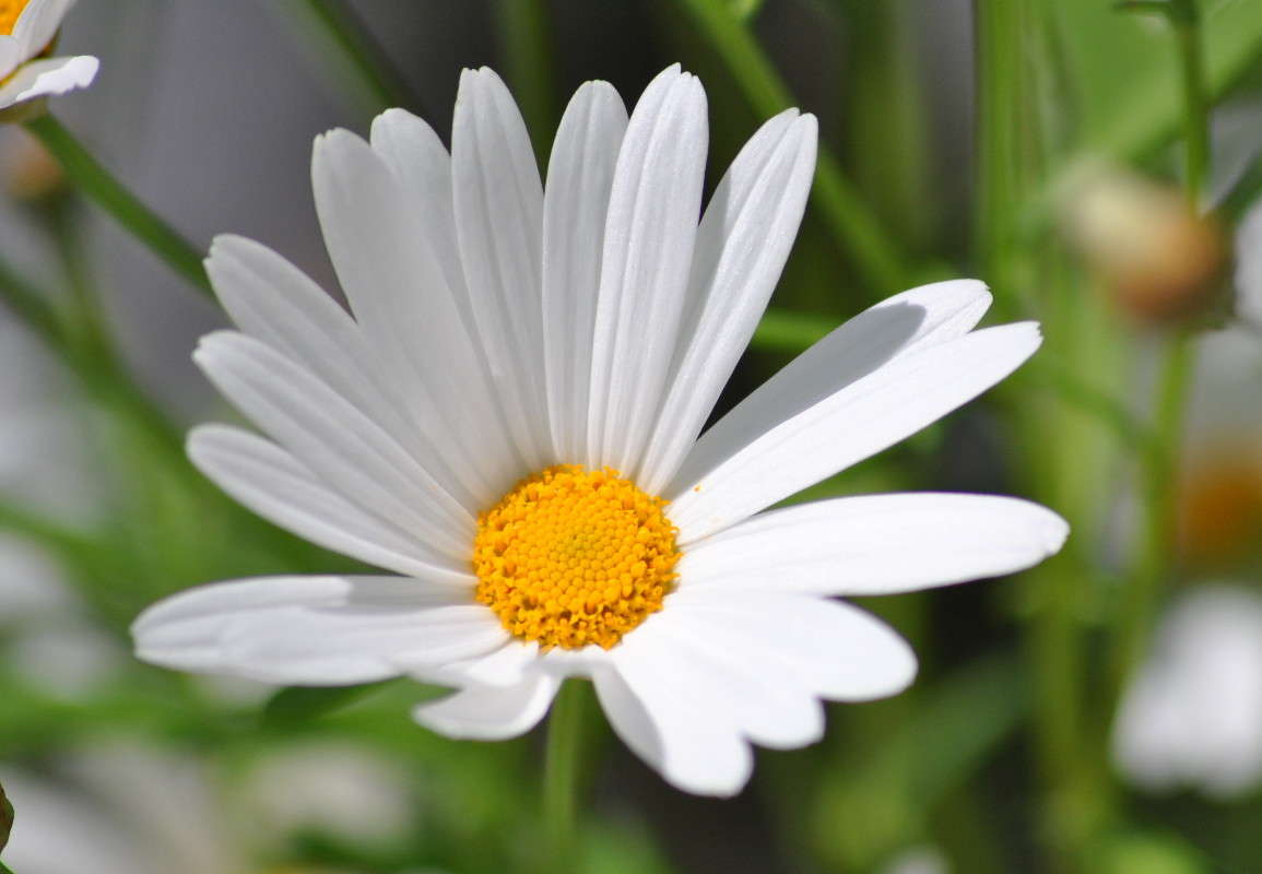 ���������! ����� ����� ���������(�������) �� PhotoGeek.ru #������ ��� ������� #����� ��������������