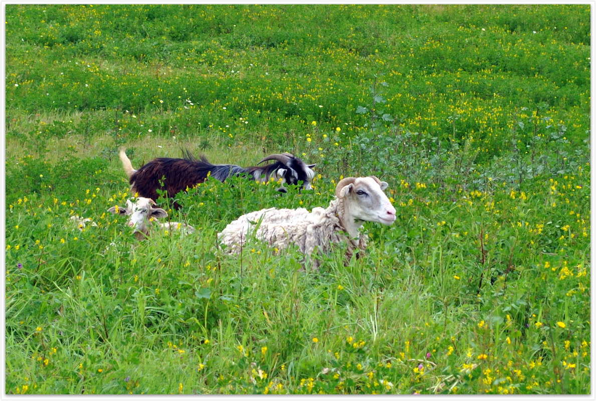 ��������)) ����� ����� ���������(�������) �� PhotoGeek.ru #�������� ���