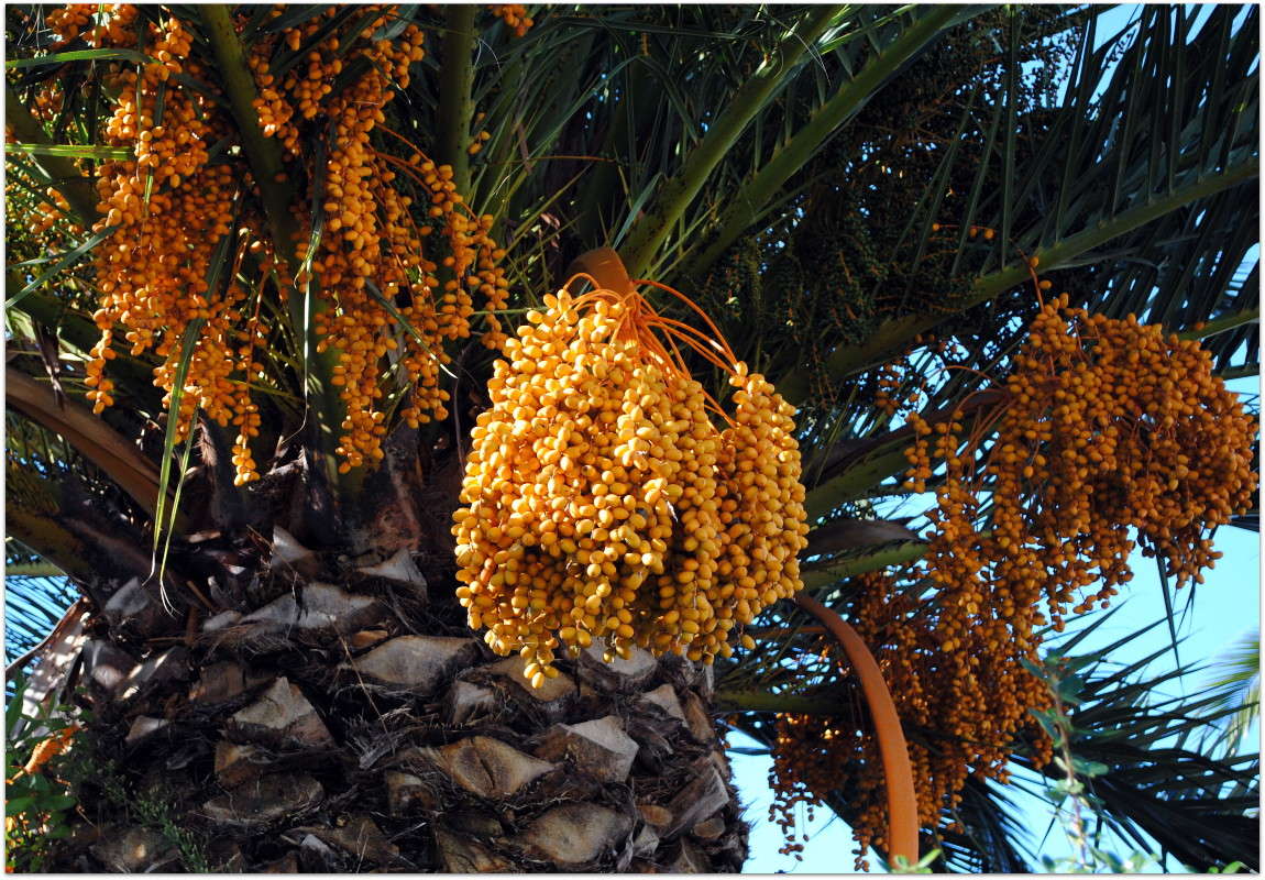 ��������� �����. ����� ����� ���������(�������) �� PhotoGeek.ru #������ ��� ������� #����� ��������������