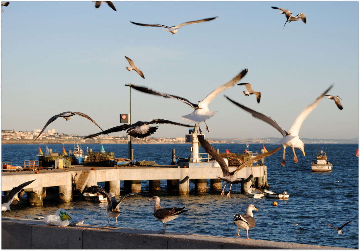 ��������... ����� ����� ���������(�������) �� PhotoGeek.ru #�������� ��� #������ ��� ������� #��������