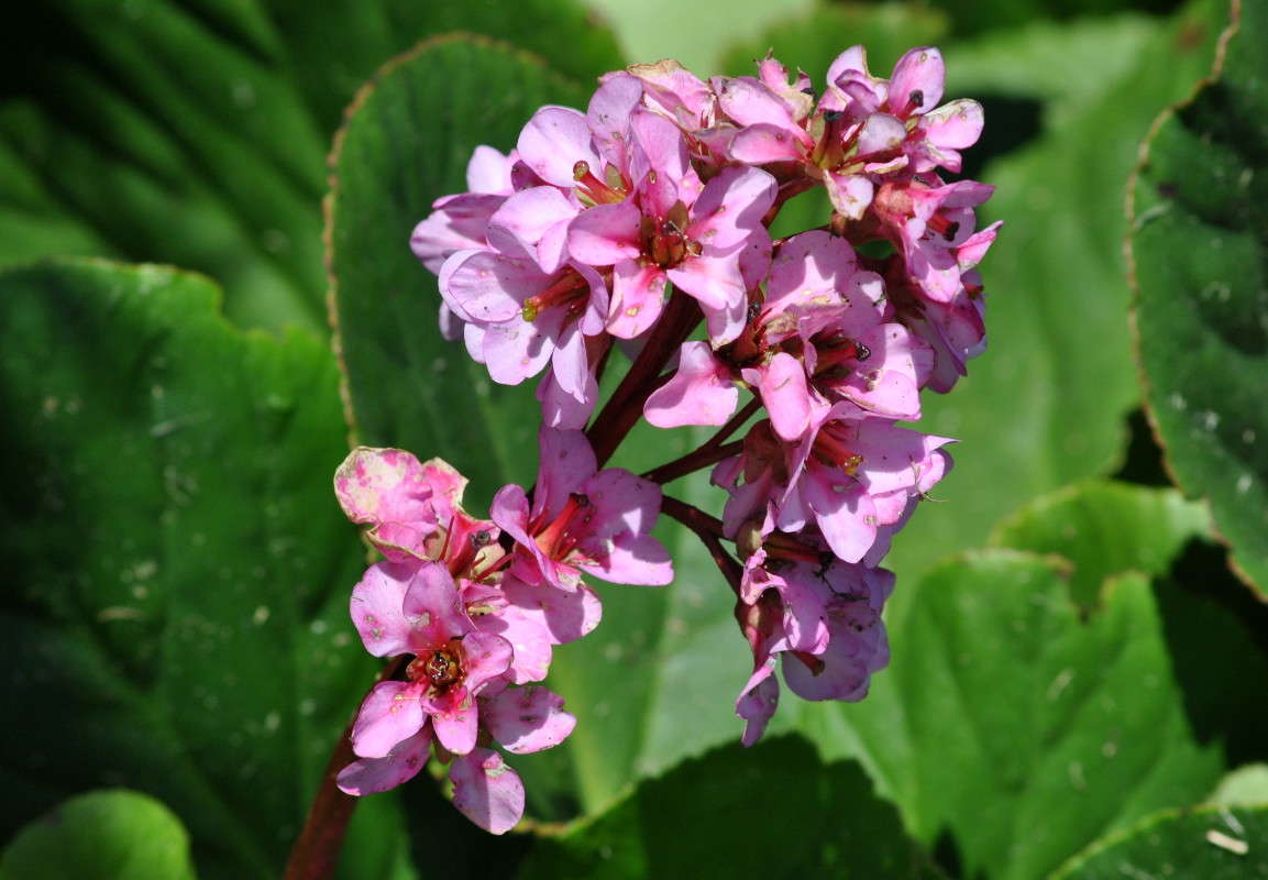 �����. ����� ����� ���������(�������) �� PhotoGeek.ru #������ ��� ������� #����� ��������������