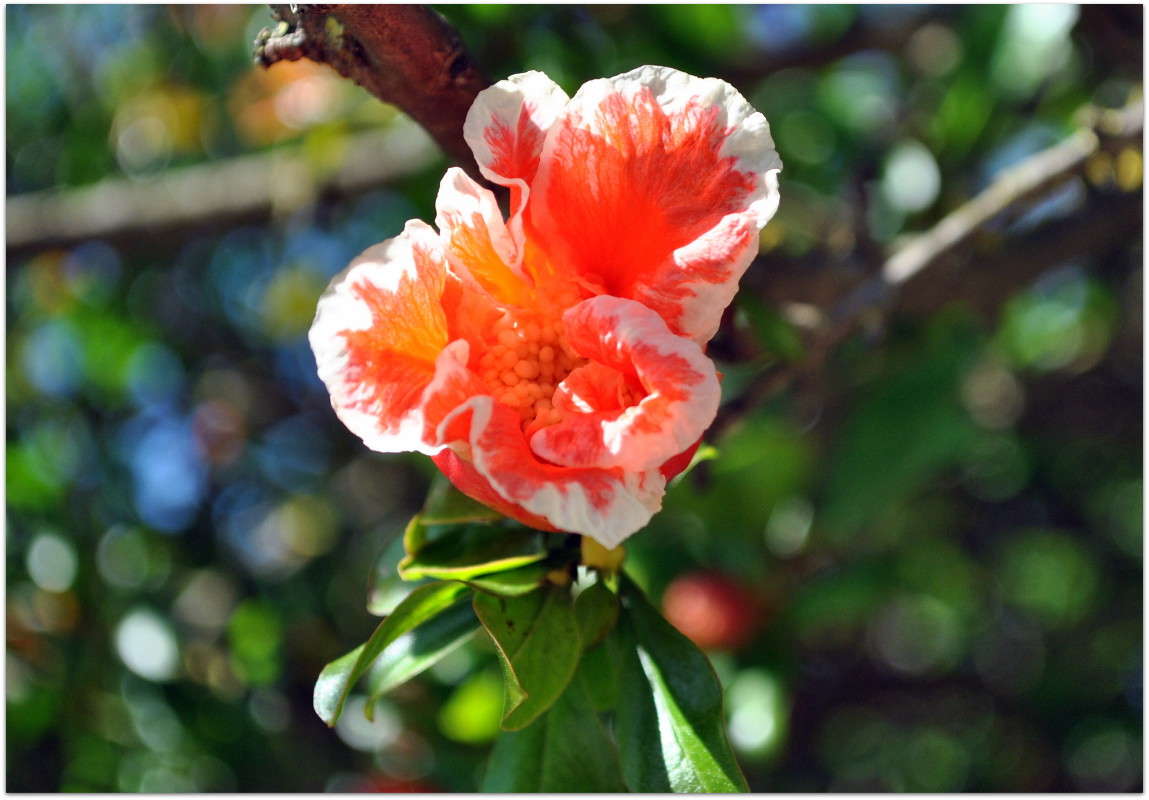 ������ ����� ����� ���������(�������) �� PhotoGeek.ru #������ ��� ������� #����� ��������������