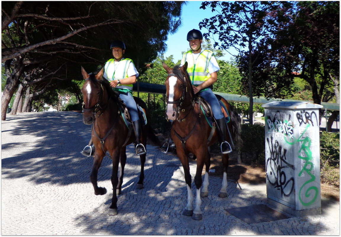 ������ �������. ����� ����� ���������(�������) �� PhotoGeek.ru #����� #�������� ���������� #�������� #������ ���� #�����-����