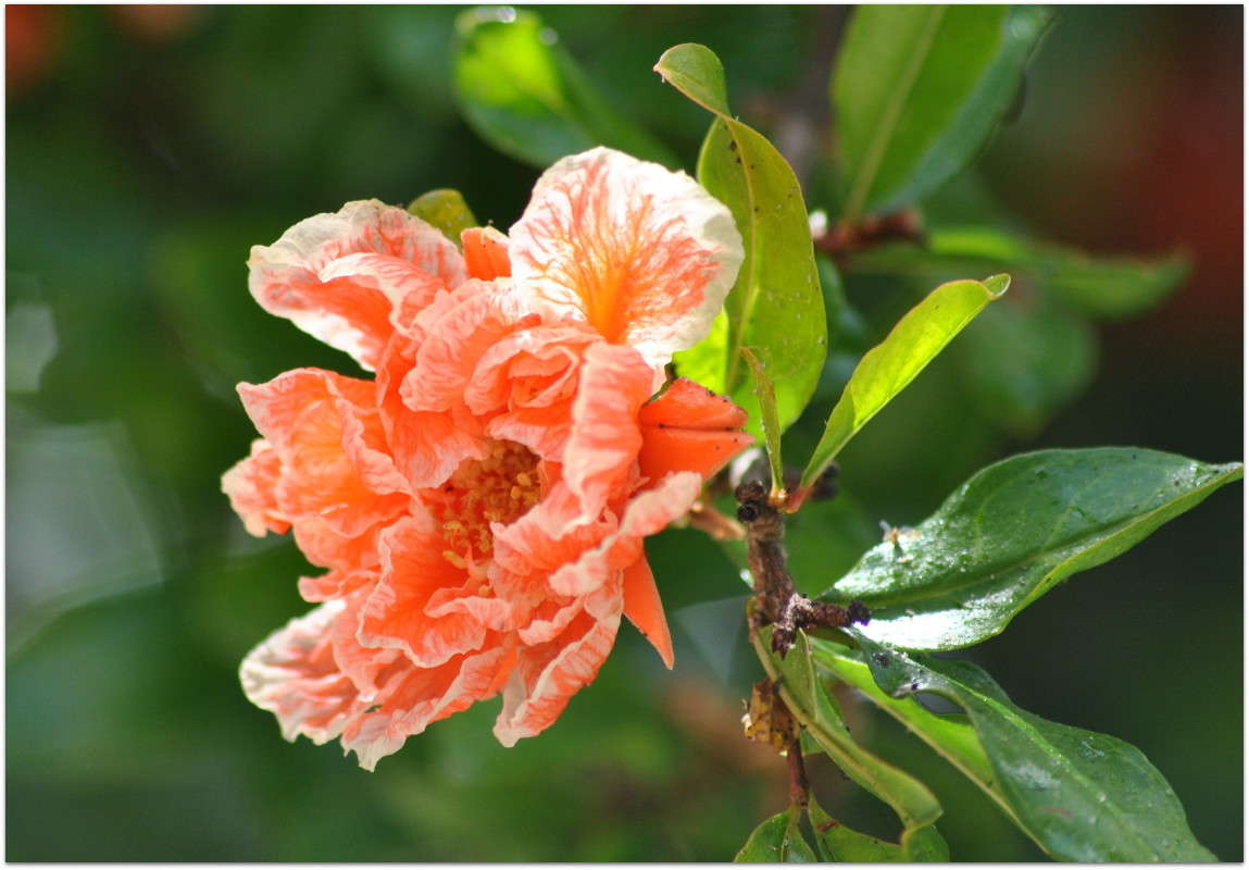 ... ����� ����� ���������(�������) �� PhotoGeek.ru #������ ��� ������� #����� ��������������