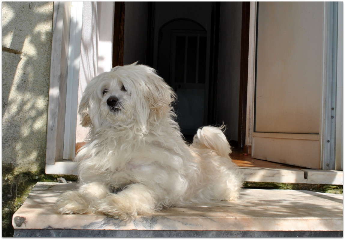 ������)) ����� ����� ���������(�������) �� PhotoGeek.ru #�������� ���