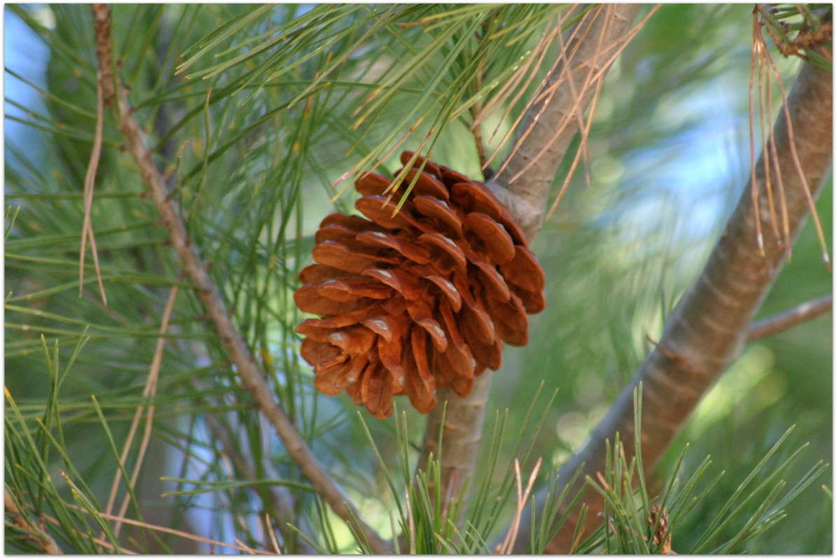 �����. ����� ����� ���������(�������) �� PhotoGeek.ru #������ ��� ������� #����� ��������������