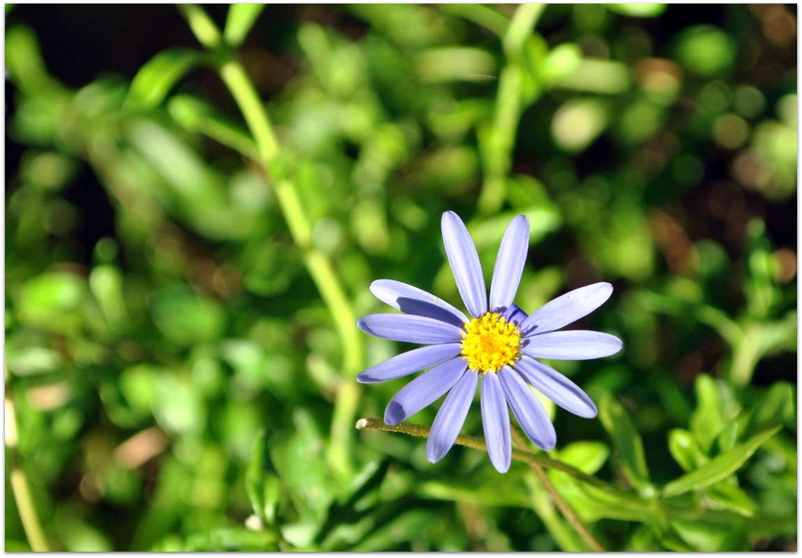 ... ����� ����� ���������(�������) �� PhotoGeek.ru #������ ��� ������� #����� ��������������